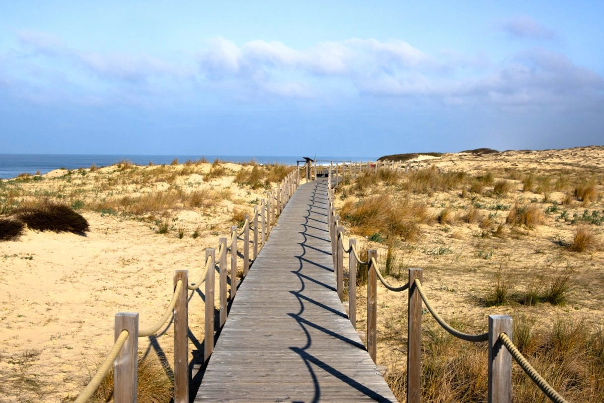 Activités à faire à Seignosse