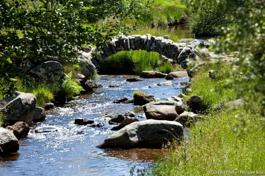 Randonnée plateau de Millevaches tourbières du Longeyroux