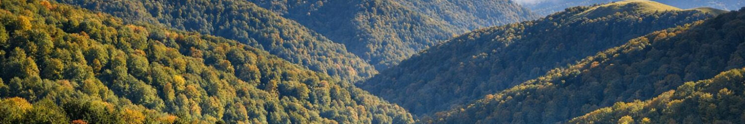 randonnée forêt et crètes d'iraty nouvelle aquitaine