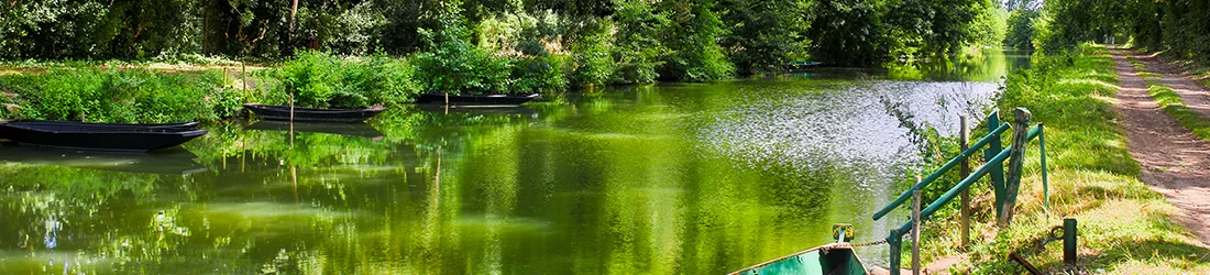Visite Marais Poitevin