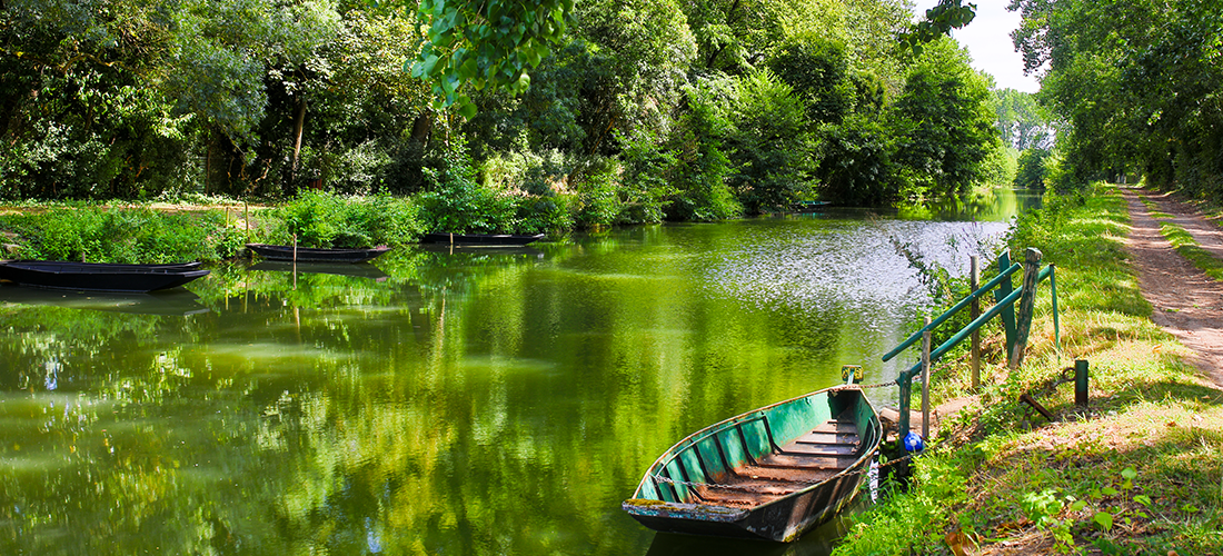 Visite Marais Poitevin